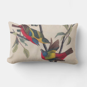Coussin Rectangle Audubon Peint Bunting Bird Wildlife