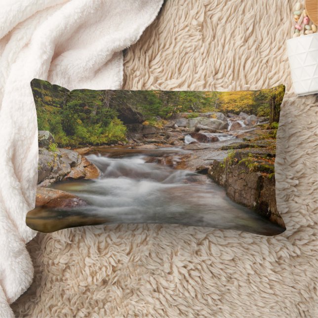 Coussin Rectangle Automne à Jefferson Brook, New Hampshire (Couverture)