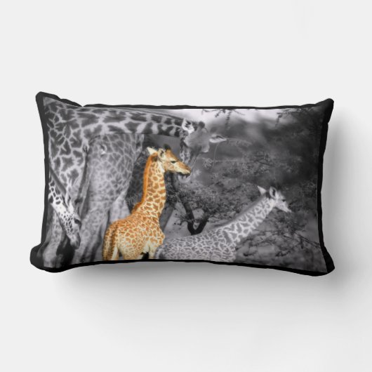 Coussin Rectangle Baby Giraffe (Recto)