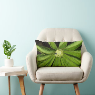 Coussin Rectangle Baby Palm Plante par Shirley Taylor
