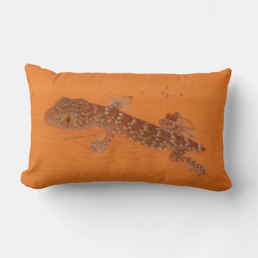 Coussin Rectangle Baby Tokay Gecko (Recto)