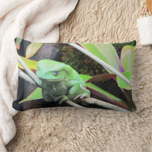 Coussin Rectangle Balancer la grenouille