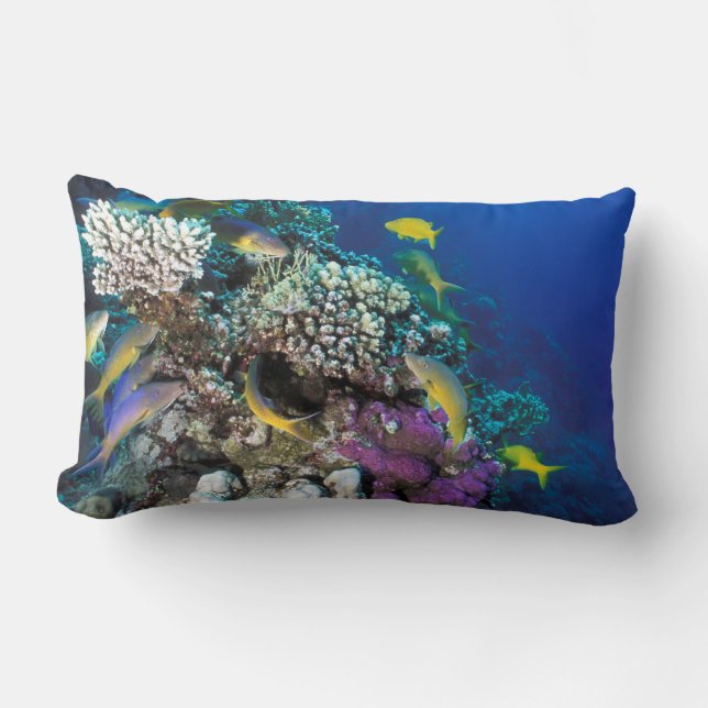Coussin Rectangle Banc de rougets autour d'un petit corail (Recto)
