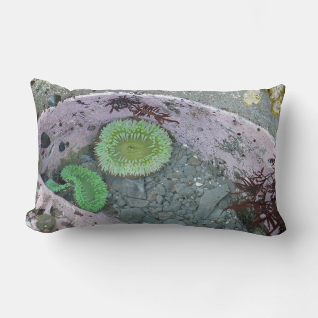 Coussin Rectangle Bassin de marée du Nord-Ouest Pacifique avec des a (Recto)