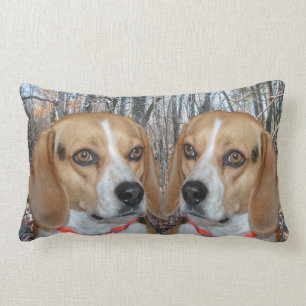 Coussin Rectangle Beagles de région boisée
