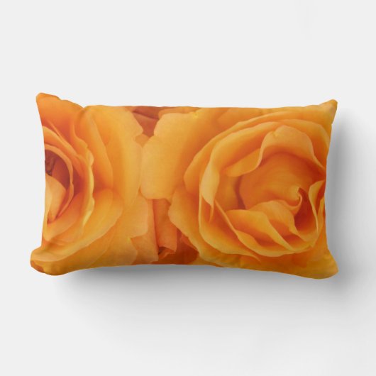 Coussin Rectangle Beau coeur hybride orange de roses de thé de (Recto)