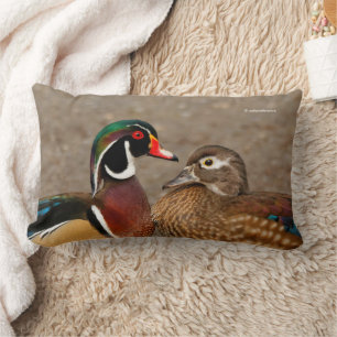 Coussin Rectangle Beau moment de contact entre des canards en bois