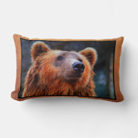 Beau Portrait d'ours Brown Faune Photo