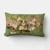 Coussin Rectangle Bébé adorable Oies du Canada sur l'herbe (Recto)