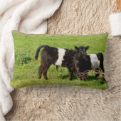 Coussin Rectangle Bébé Galloway Calves, Lumbar Cushion (Couverture)