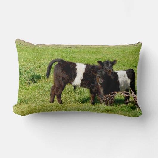 Coussin Rectangle Bébé Galloway Calves, Lumbar Cushion (Recto)