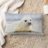 Coussin Rectangle Bébé phoque des images | de Getty (Couverture)