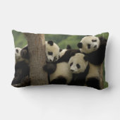 Coussin Rectangle Bébés pandas géants Ailuropoda melanoleuca) (Verso)