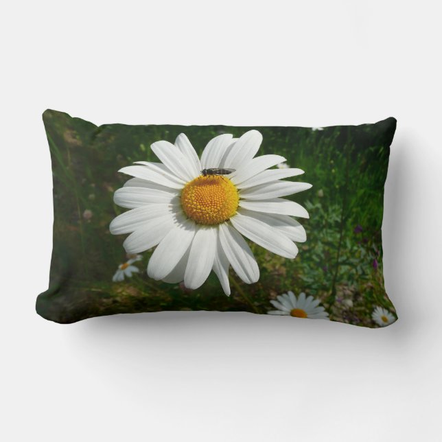 Coussin Rectangle Bee on Daisy Alaskan Summer Nature (Recto)