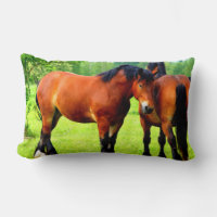 Belle Baie Ébauche Cheval Dans La prairie Verte