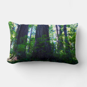 Coussin Rectangle Belle forêt luxuriante de séquoias