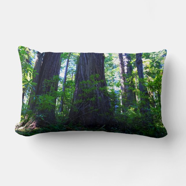 Coussin Rectangle Belle forêt luxuriante de séquoias (Recto)