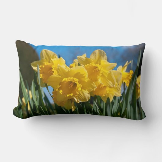 Coussin Rectangle Belles Daffodiles Jaunes (Recto)