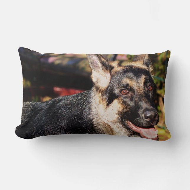 Coussin Rectangle berger allemand par Shirley Taylor (Recto)