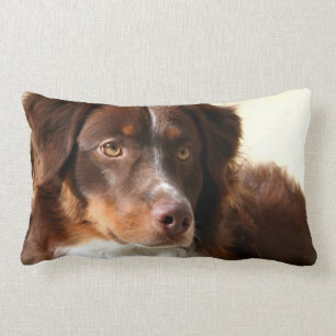 Coussin Rectangle Berger australien