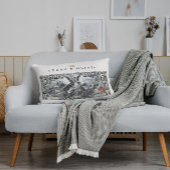 Coussin Rectangle Billet de la Banque du Certificat Argent 1896 – Ca