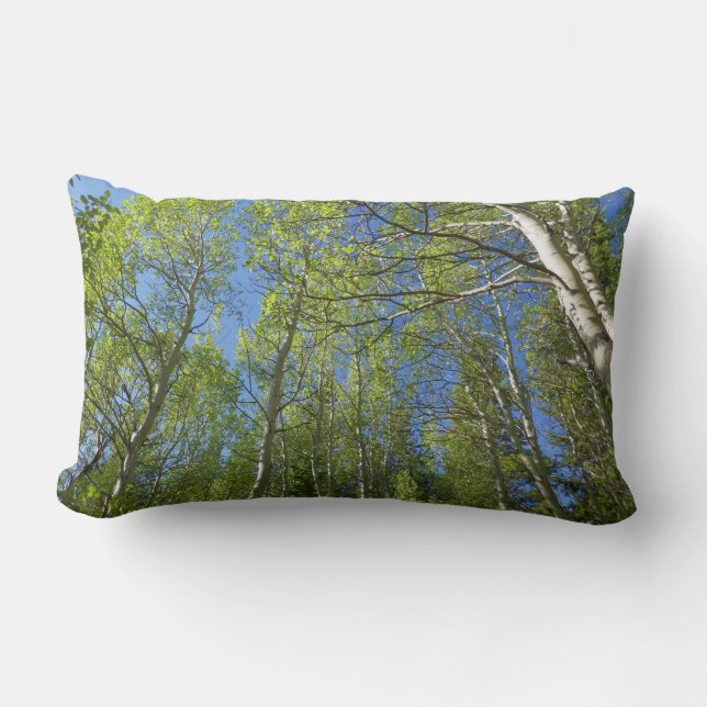 Coussin Rectangle Birch Trees d'été à Rocky Mountain (Recto)