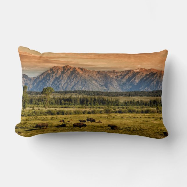 Coussin Rectangle Bison au lever du soleil (Recto)