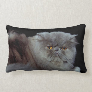 Coussin Rectangle Bleu perse