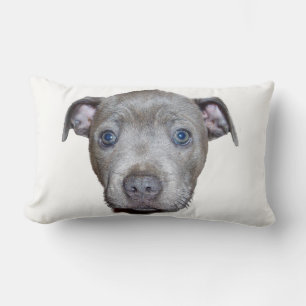Coussin Rectangle Blue Staffordshire Bull Terrier Puppy Face, Blanc