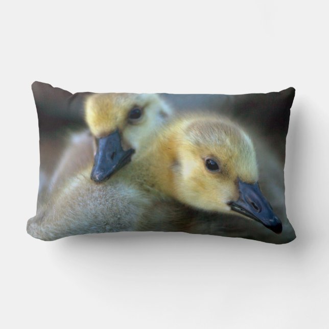 Coussin Rectangle Bord de lac (Recto)