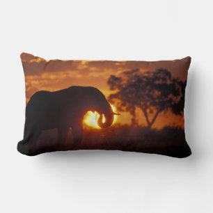 Coussin Rectangle Botswana, parc national de Chobe, éléphant mâle