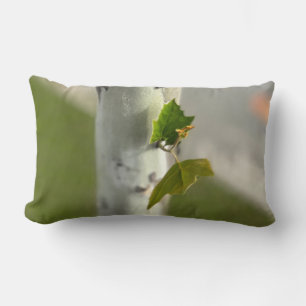 Coussin Rectangle Bouleau au bord de la route