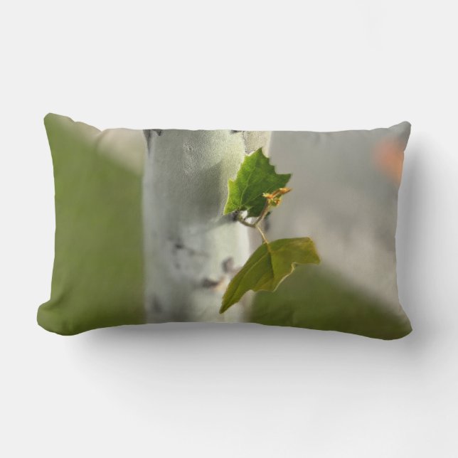 Coussin Rectangle Bouleau au bord de la route (Recto)