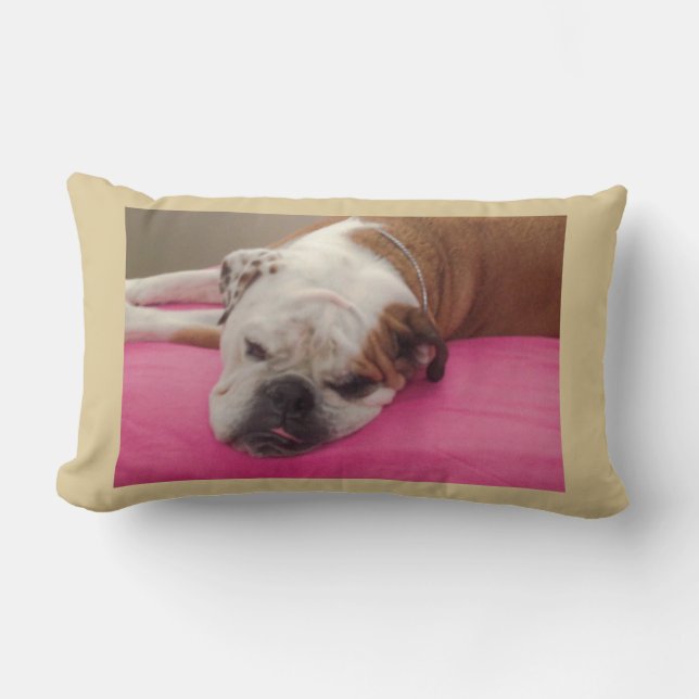 Coussin Rectangle Bouledogue anglais (Recto)