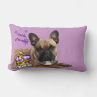 Bouledogue français Princesse French Bulldog