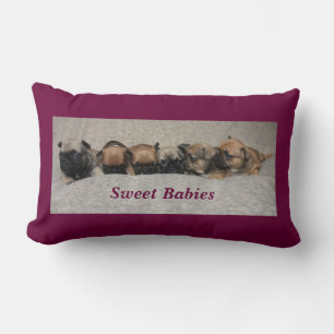 Coussin Rectangle Bouledogues français mignons French Bulldog