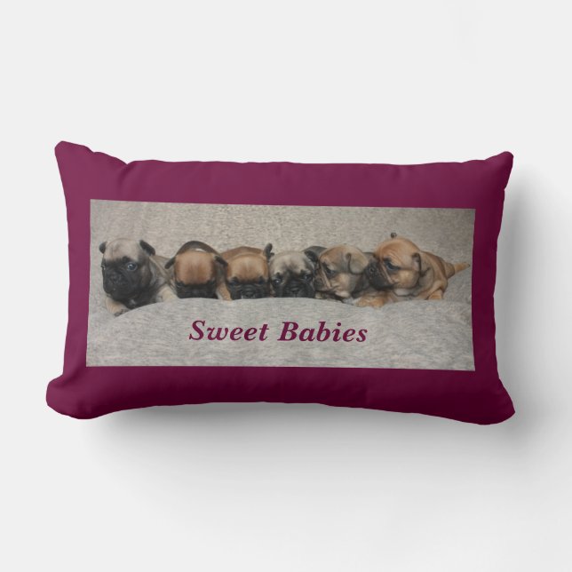 Coussin Rectangle Bouledogues français mignons French Bulldog (Recto)