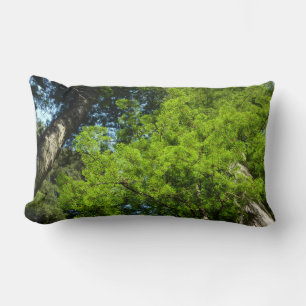 Coussin Rectangle Branches de séquoia au Redwood National Park