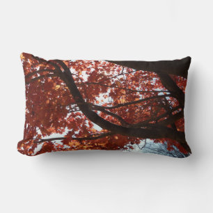 Coussin Rectangle Branches d'érable rouge Couleurs d'automne