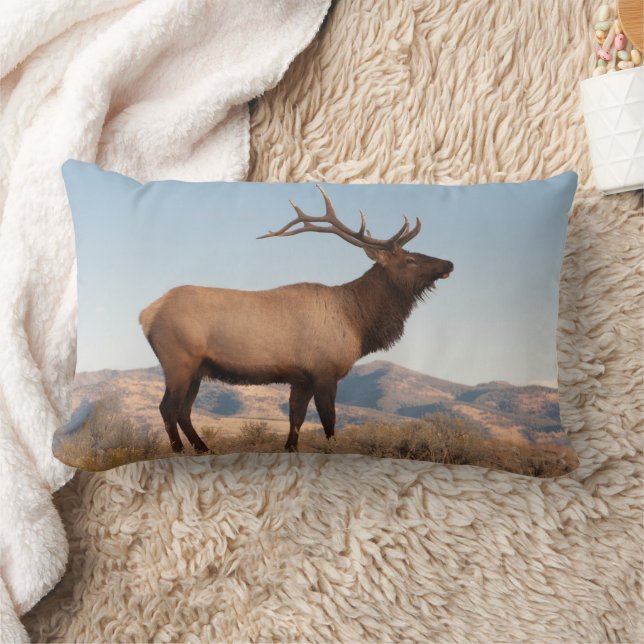 Coussin Rectangle Bull Elk près de Mammoth | Wyoming (Couverture)