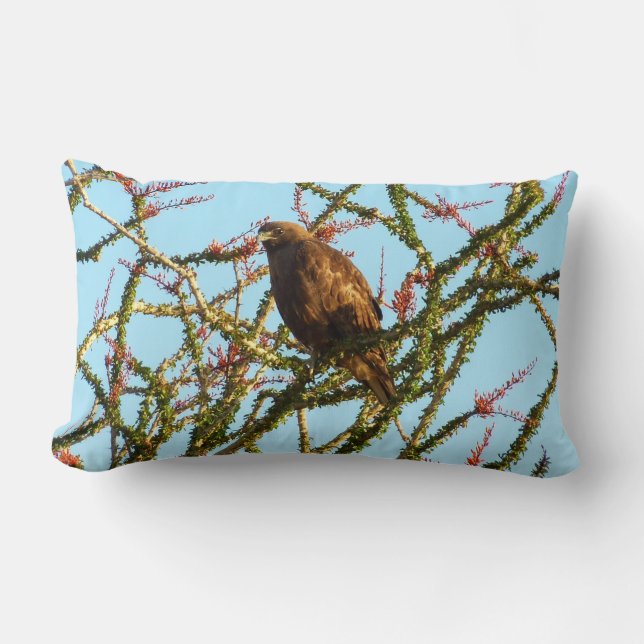 Coussin Rectangle Buse à queue rousse immature dans un buisson d'oco (Recto)