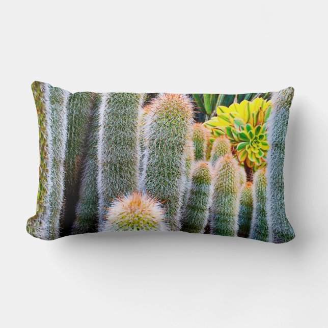 Coussin Rectangle Cactus vert flou succulent photo audacieux moderne (Recto)