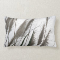 Cadeaux d'herbes de Silvergrass de Japonais de la