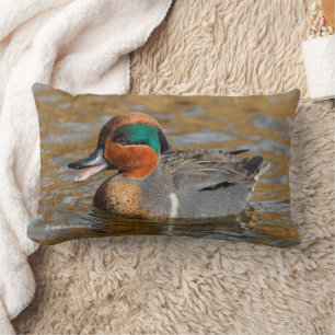 Coussin Rectangle Canard Turquoise à ailes vertes à poitrine à Pond