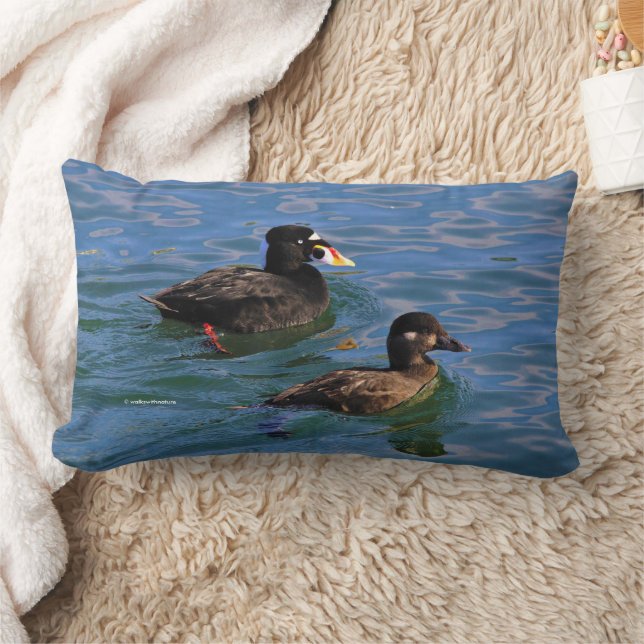 Coussin Rectangle Canards Scoter Surf mâle et femelle à la jetée (Couverture)