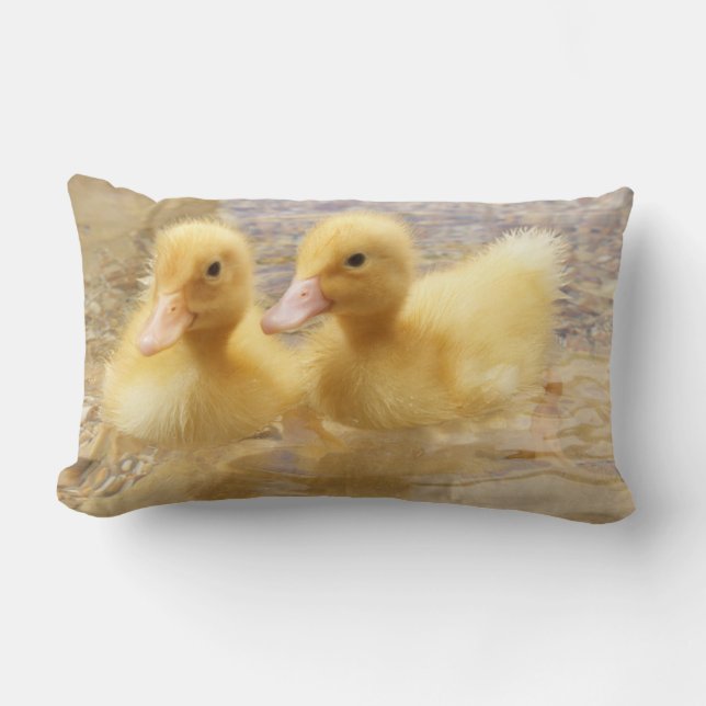 Coussin Rectangle Canetons jaunes brouillés des images | de Getty (Recto)