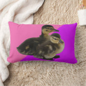 Coussin Rectangle Canetons sur Framboise Rose et Sorbet Violet (Couverture)