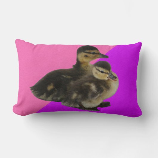 Coussin Rectangle Canetons sur Framboise Rose et Sorbet Violet (Recto)