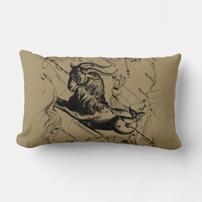 Coussin Rectangle Capricorne Constellation Carte Hevelius Engraving (Recto)