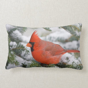 Coussin Rectangle Cardinal du Nord à Balsam sapin en hiver